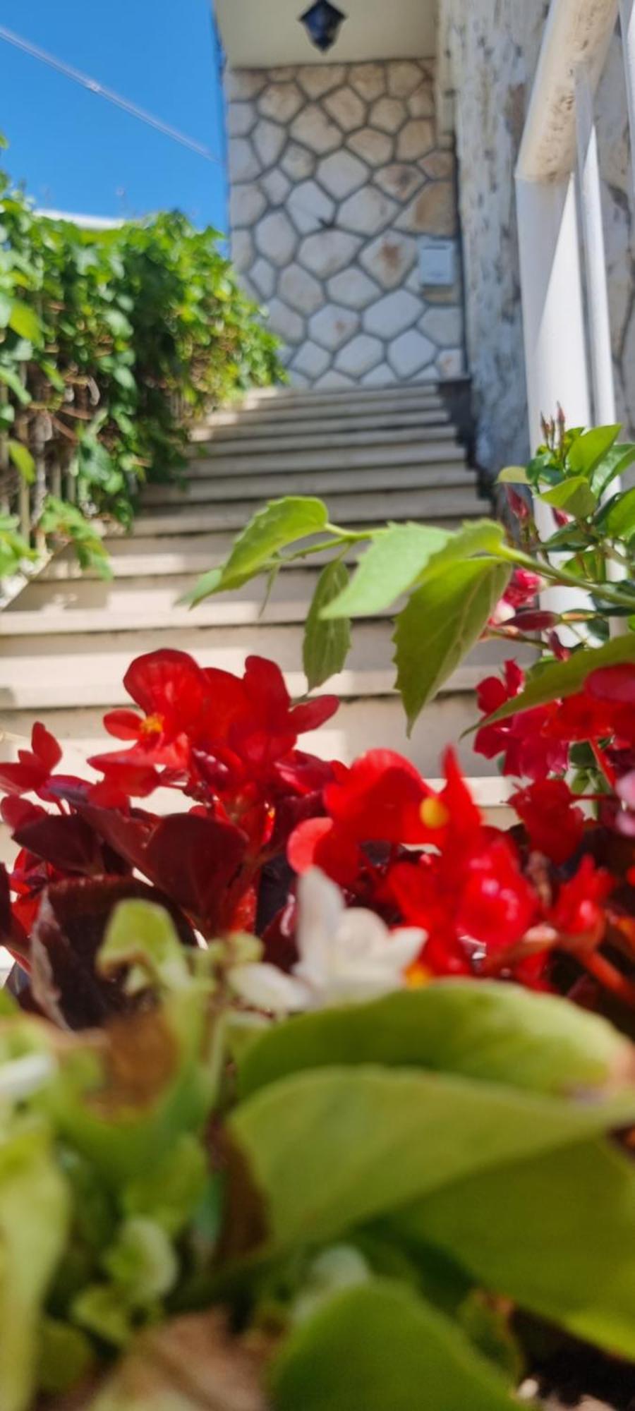 Apartment Lea Bayview 두브로브니크 외부 사진